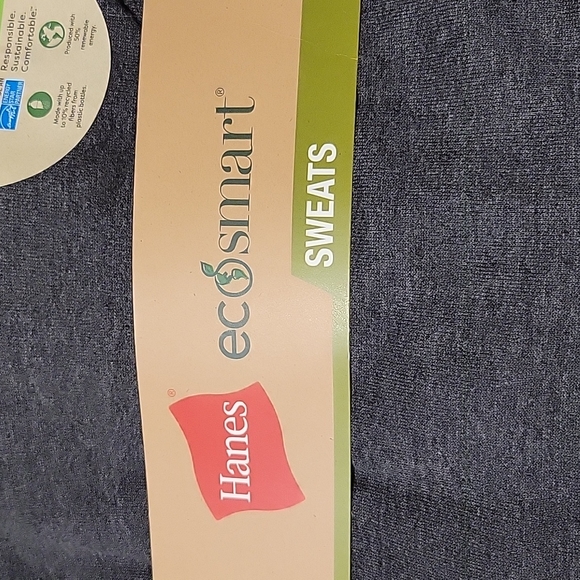 NWT Men's Hanes Eco-Smart Sweatshirt Hoodie, Dark Grey L - Picture 3 of 5